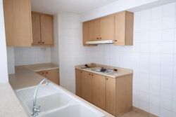 Evergreen Park (D19), Apartment #579861381